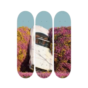 Classic Car Floral Skateboard Wall Art