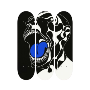 Inner Echo - Triptych Skateboard Wall Art